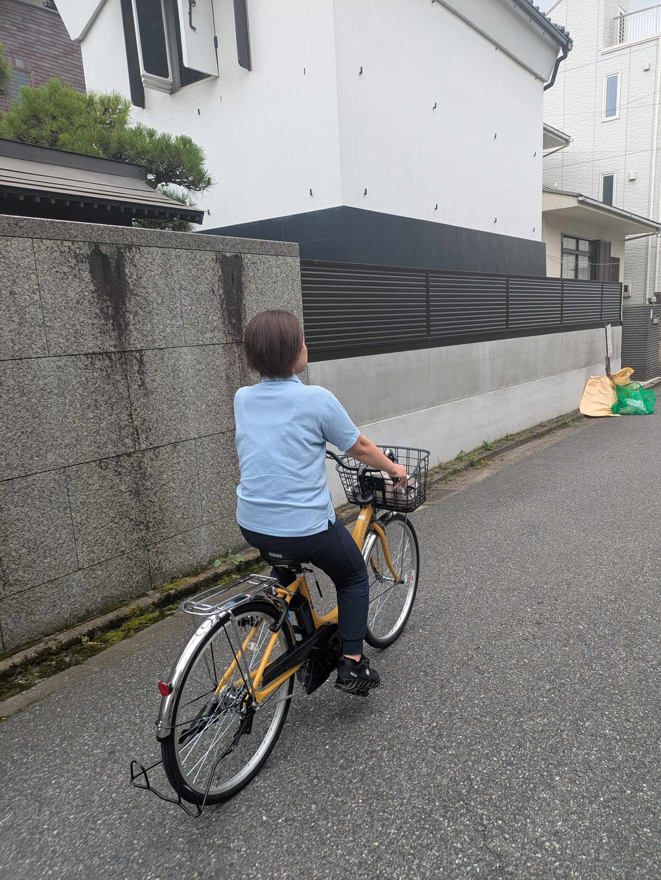 訪問の様子